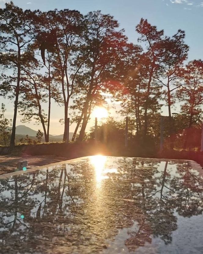 sunset