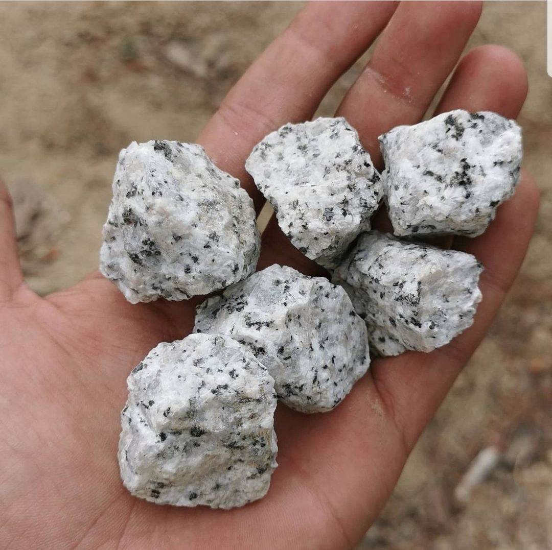 manipiedri